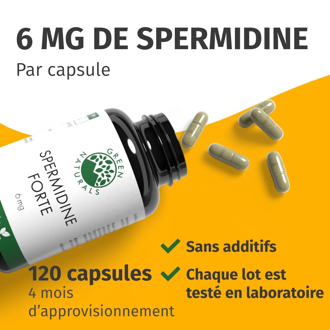 Spermidine Forte – Hautement dosé : 6 mg par capsule d'extrait de germe de blé – Testé en laboratoire – 120 gélules Green Naturals®