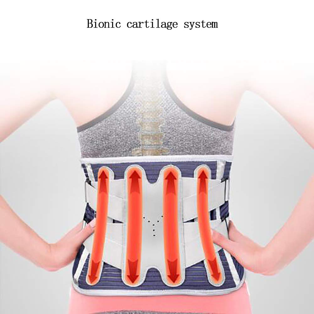 Faja Lumbar Fitness - Cinturón autocalentable - Tractor de Hernia de Disco Lumbar Lumbar - para el Alivio del Dolor Lumbar,M
