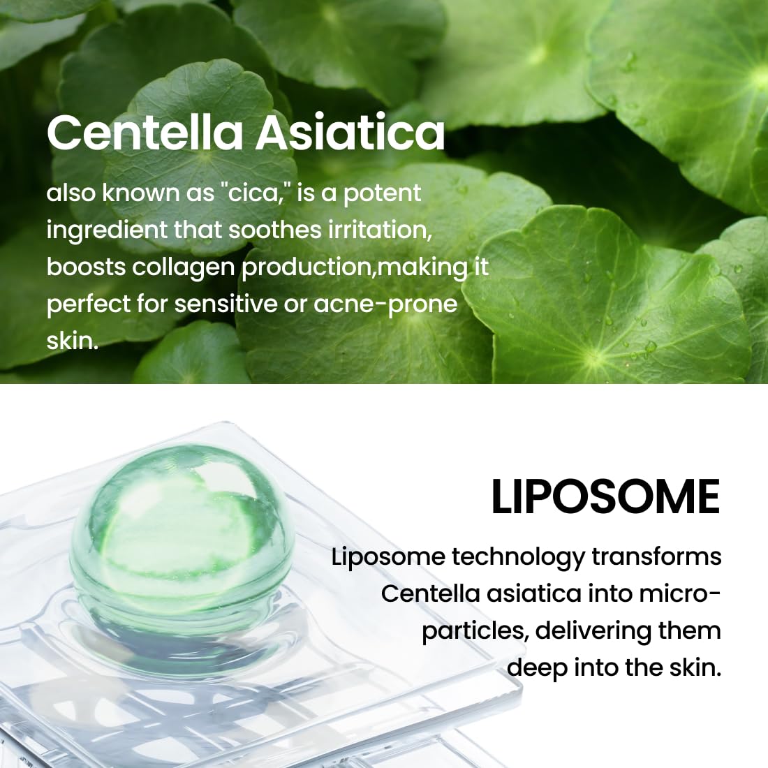 Liposome Soft Calming Serum, Lightweight Nourishing for Sensitive Skin with Centella Asiatica Teca, Korean Skincare for Trouble Care (1.01 fl. oz, 30ml) - Image 5