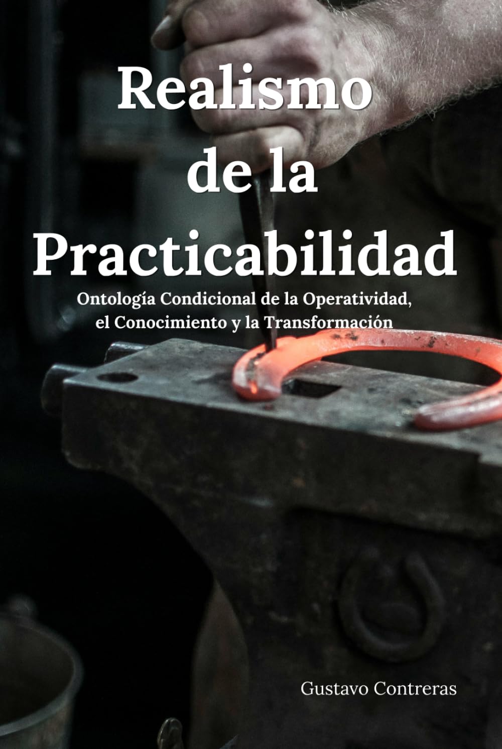 Realismo de la Practicabilidad: Ontología Condicional de la Operatividad, el Conocimiento y la Transformación (Ontología de la Practicabilidad)