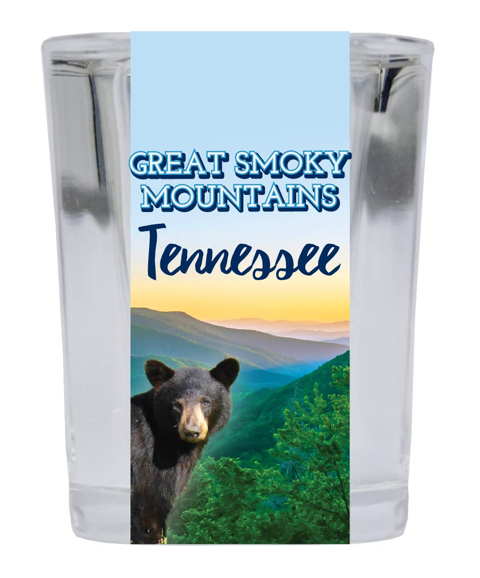 Amazon.com | Great Smoky Mountains Gatlinburg Tennessee National Park  Souvenir Square Shot Glass: Shot Glasses
