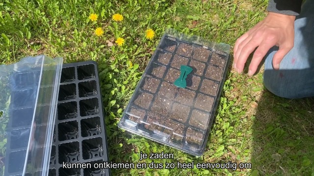 Zaaibak kopen? Bekijk het assortiment