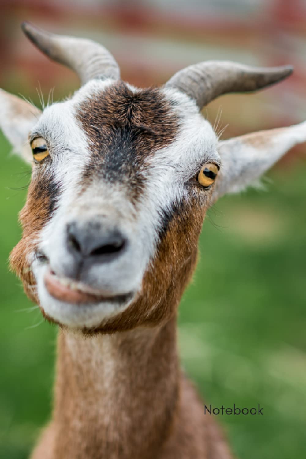 Notebook - Silly Goat Faces: A4, Lined Notebook, Planner, Diary, Sketchbook, Writing, Gift, Student, Animal Lover, Goat Lover, Homesteading