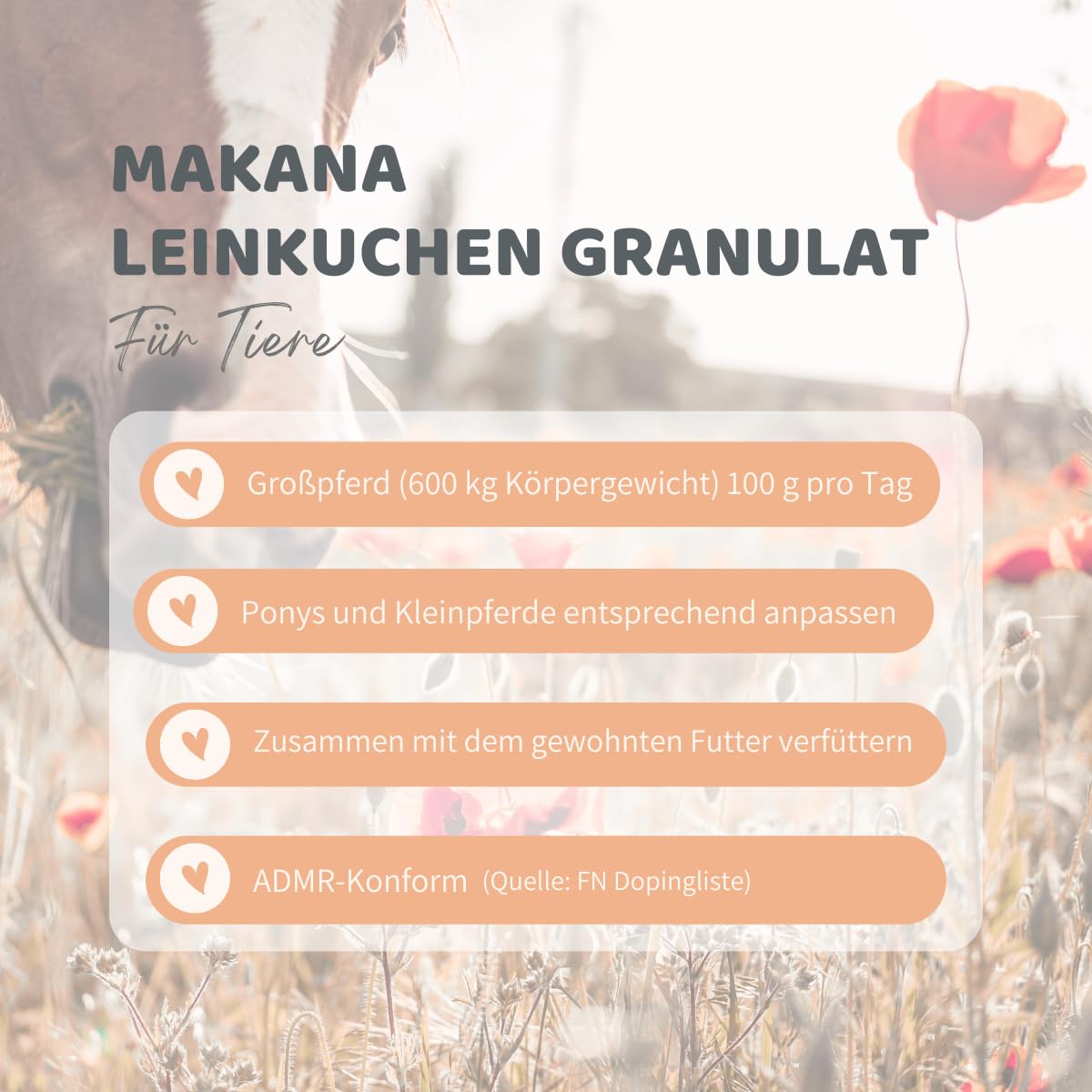 Makana Leinkuchen Pellets/Granulat für Pferde, 10 kg Sack