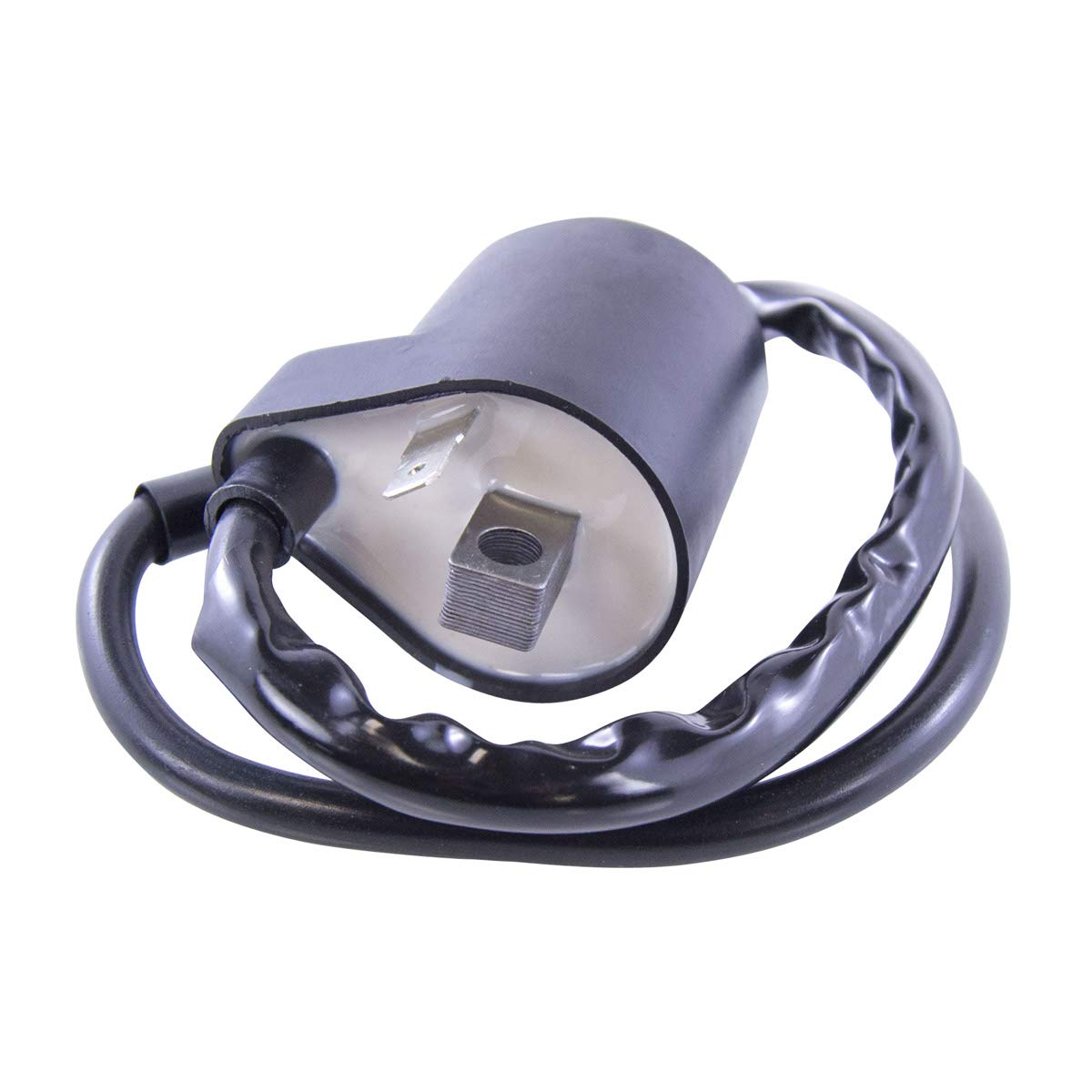 Amazon.com: RMSTATOR Replacement for External Ignition Coil Suzuki