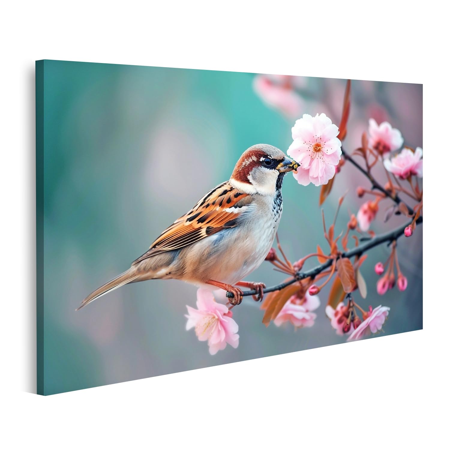 Tableau sur toile moineau pour célébrer la journée des oiseaux