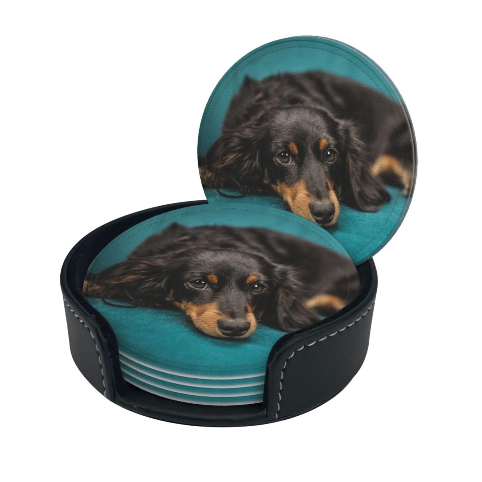 Dachshund Dog Print Coaster With Storage Box For Home, Office, And Restaurant Use