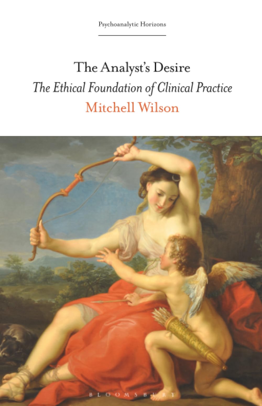 Analyst’s Desire, The: The Ethical Foundation of Clinical Practice (Psychoanalytic Horizons)