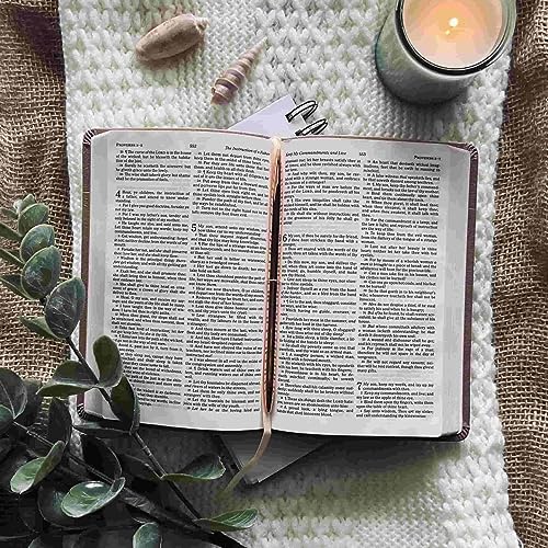 Couverture de ASMR Bible Reading
