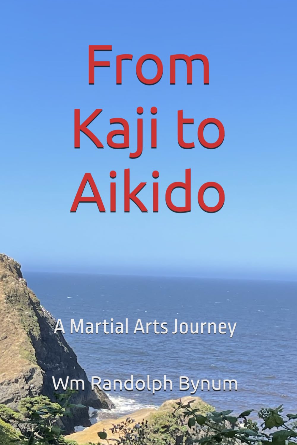 From Kaji to Aikido: A Martial Arts Journey
