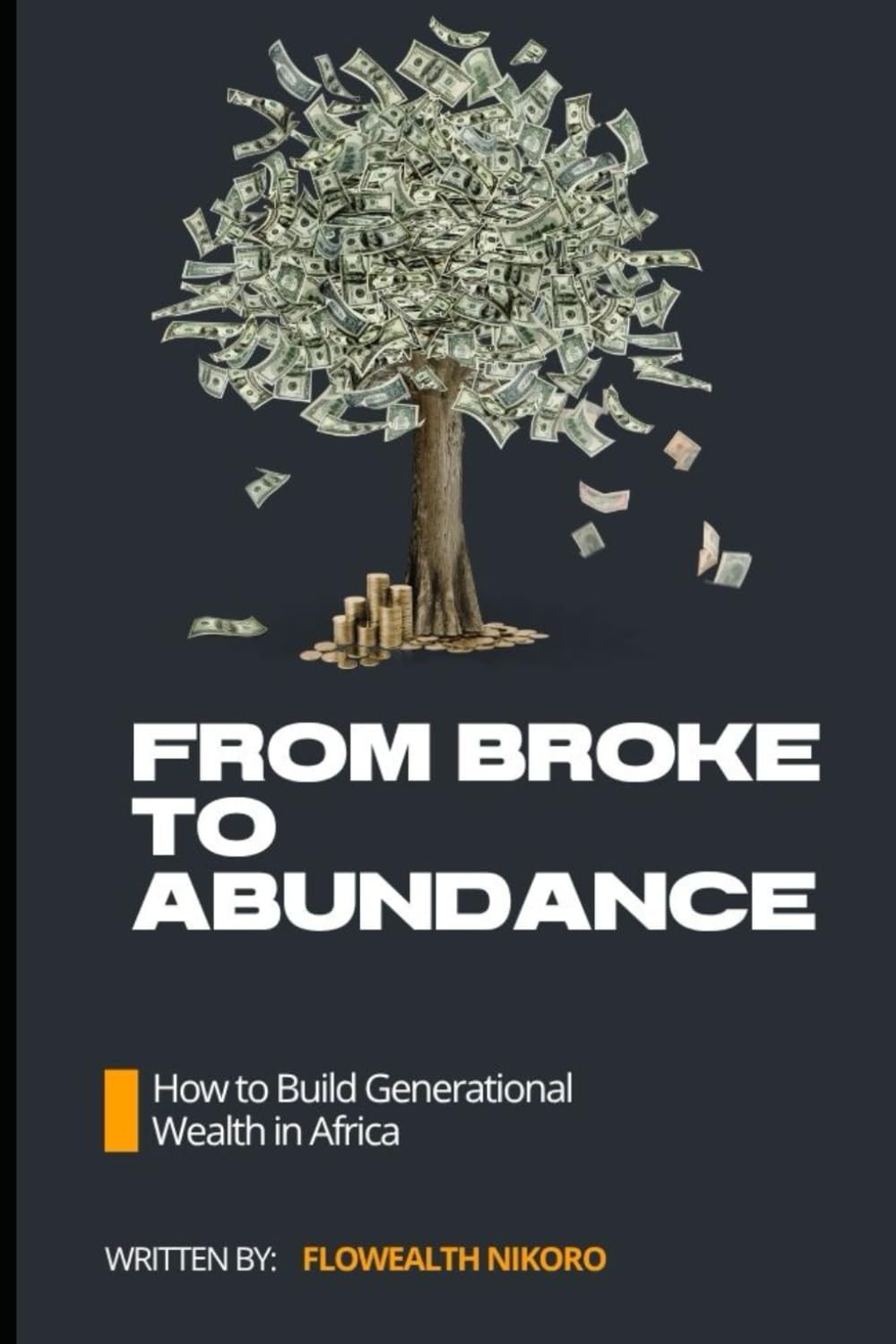 From Broke to Abundance: How to Build Generational Wealth in Africa (The Flowealth Blueprint Series)