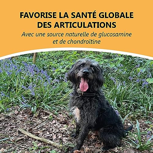 Pets Purest Pattes de Poulet pour Chiens - Friandises à Mâcher Pieds de Poulet Séchés à l'Air - pour Tous Les Ages, y Xompris Les Xhiots et Les Chiens Agés - Céréales Saines - sans Gluten ni Lactose - Image 6