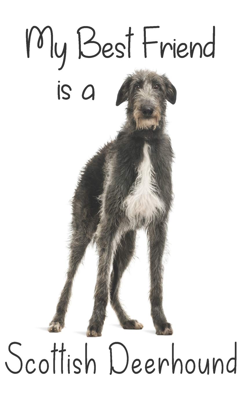 My best Friend is a Scottish Deerhound: 8” x 5” Blank lined Journal Notebook 120 College Ruled Pages