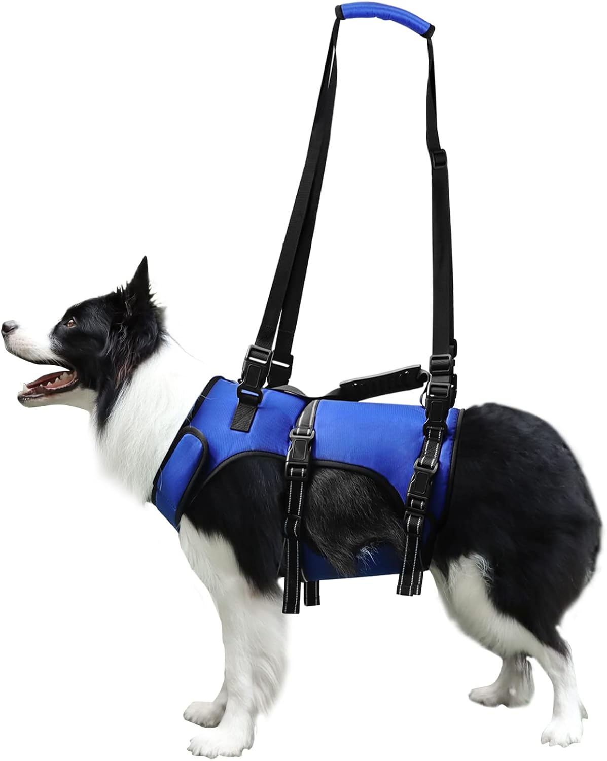 Dog Lift Harness, Full Body Support & Recovery Sling, Pet
