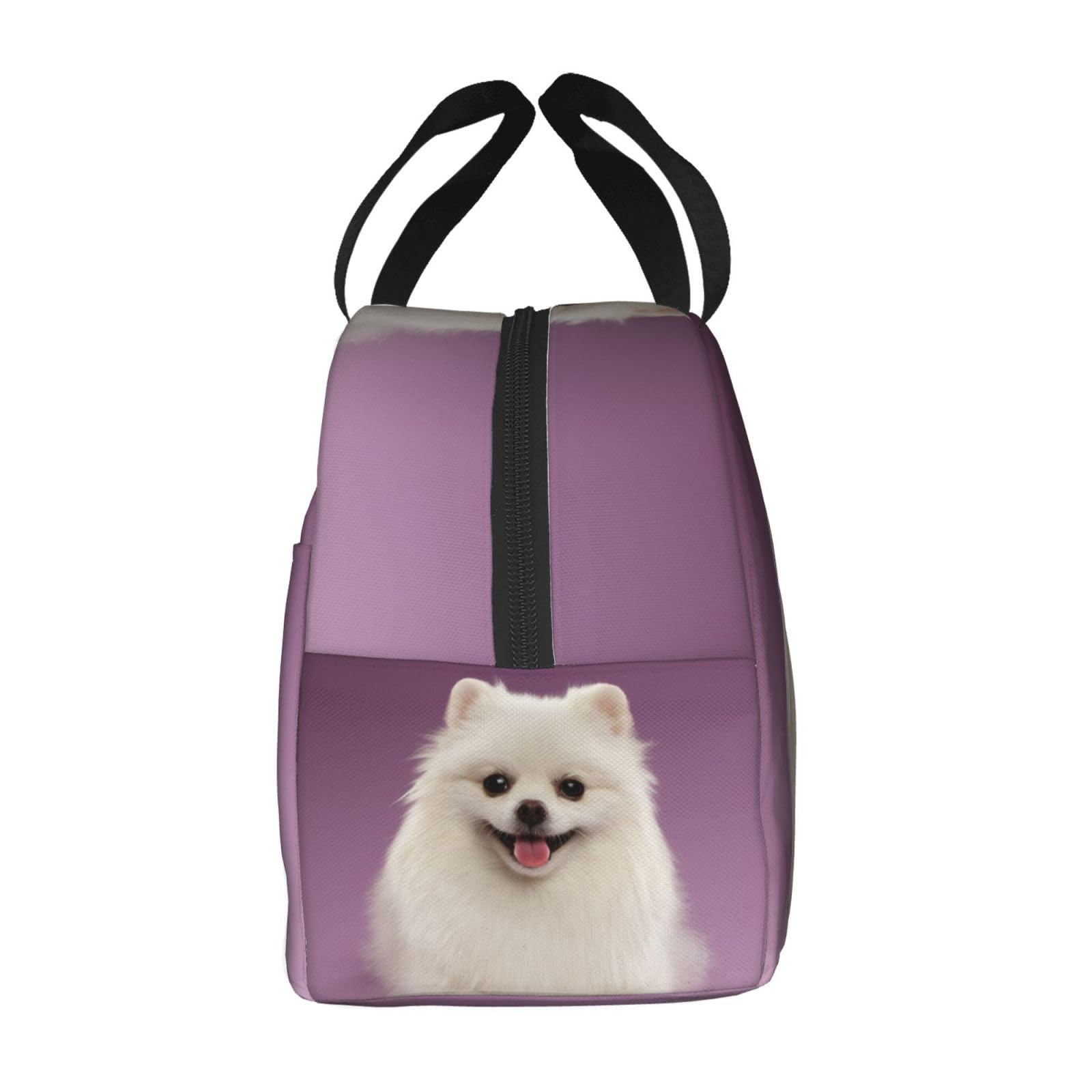Amazon｜ポメラニアン 犬柄 ランチバッグ 手提げ 弁当バッグ 保冷保温 