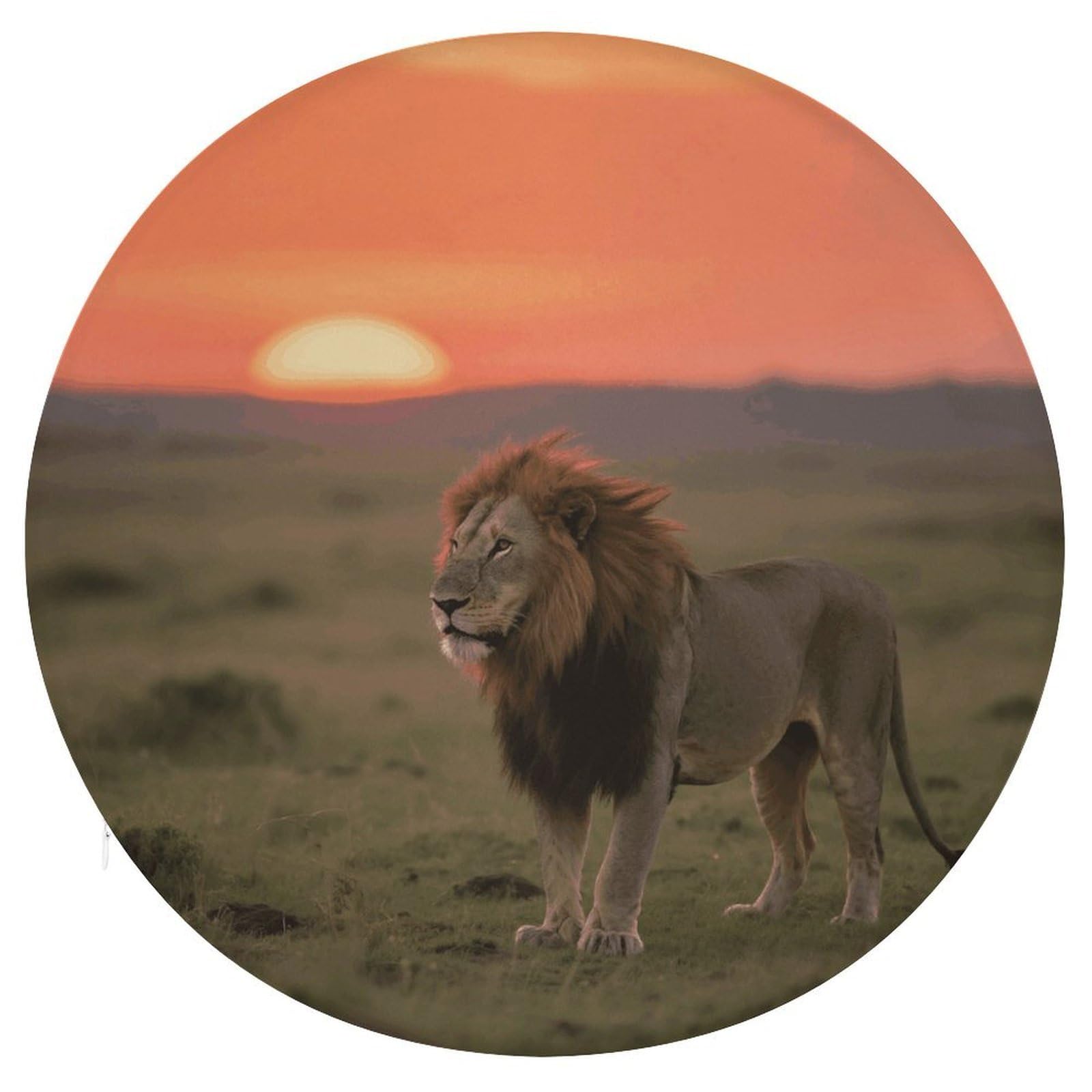 VstaDank Lion on African Savannah Cushions Memory Non Slip Car Seat Cushions Dining Chairs Cushion Indoo Dining Room Round Chair Pads with Zipper and Removable Cover Cushion