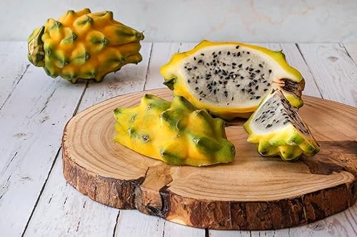 Miniatura 6 de Corte amarillo de la fruta del dragón 8 Inc a 10 Inc longitud para plantar 1 corte