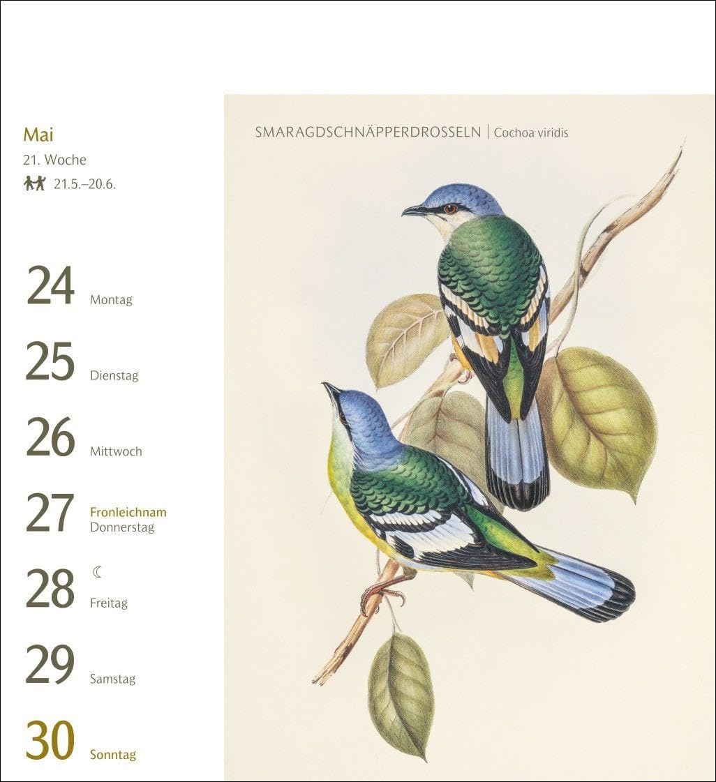 Vögel Postkartenkalender 2027 - Postkartenkalender mit 53 historischen Zeichnungen: Tischkalender mit Retro-Illustrationen. Schönes Geschenk für Kunst- und Naturliebhaber. 16 x 17,5 cm