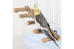 Bird Parrot Ladder Perch for Cage