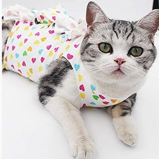 Amazon.co.jp: 猫用 服