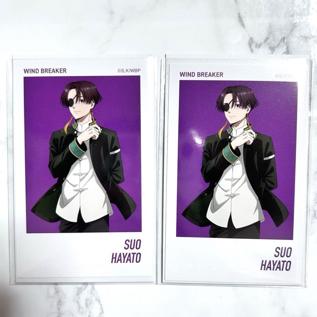 Amazon.co.jp: WIND BREAKER ウィンブレ チェキ風 ステッカー 蘇芳隼人