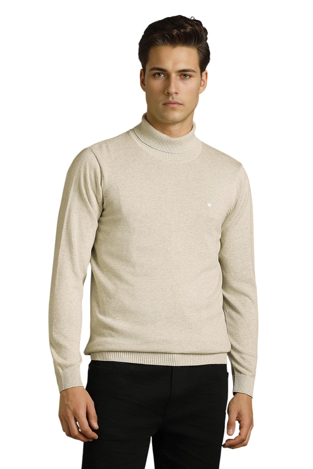 louis philippe Men Sweater-picture-27
