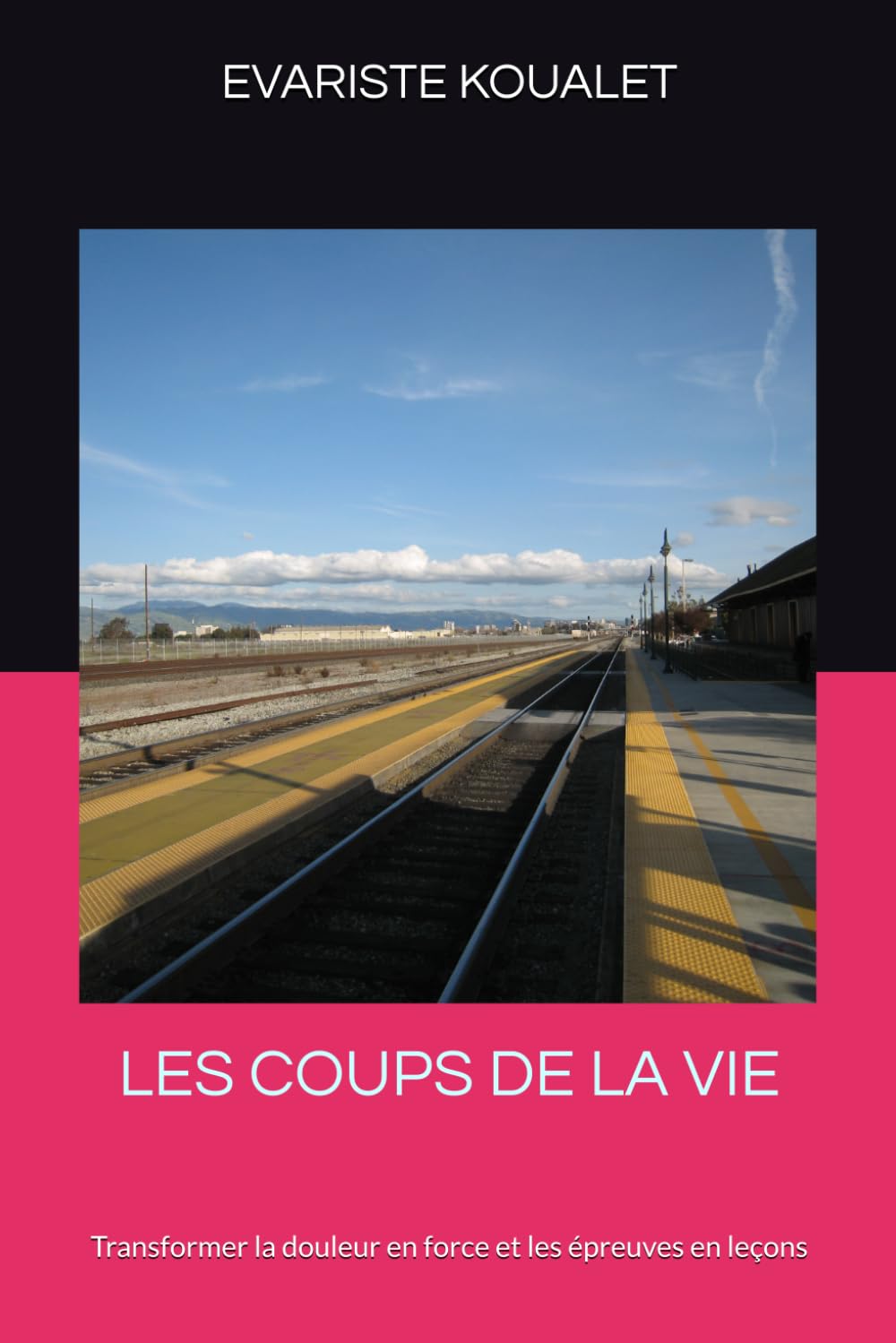 LES COUPS DE LA VIE: Transformer la douleur en force et les épreuves en leçons