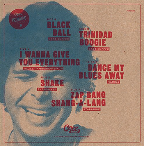 The Robin Imamshah Files [Disco de Vinil]