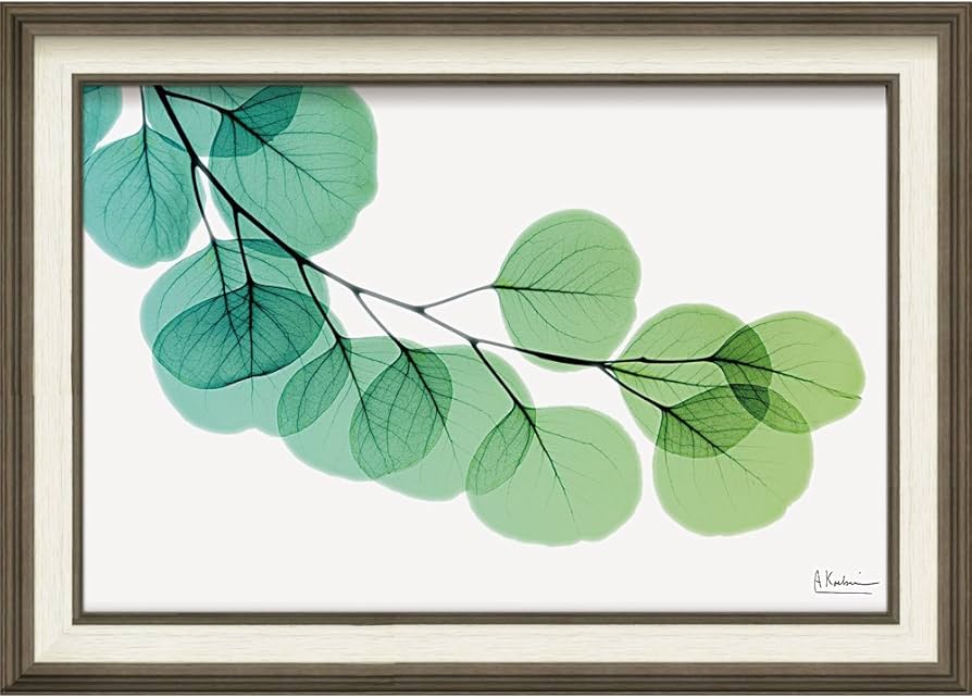 Amazon.co.jp: 【アートフレーム】X RAY キャンバスアート「ユーカリ