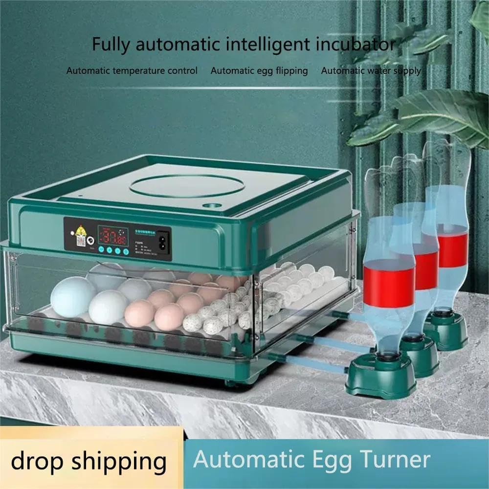 Incubadora Huevos Gallina, Incubadora Automática de 16-24 Huevos, Incubadora Totalmente Automática con Control de Temperatura, Indicador de Humedad, Volteador Automático de huevos -Verde(24 Huevos)
