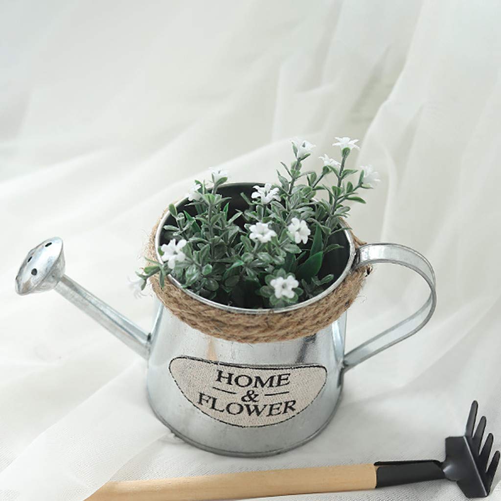 Mini Pot De Fleurs Métal En Forme D’arrosoir Vintage | Déco Maison, Jardin, Balcon - Style Rétro Blanc