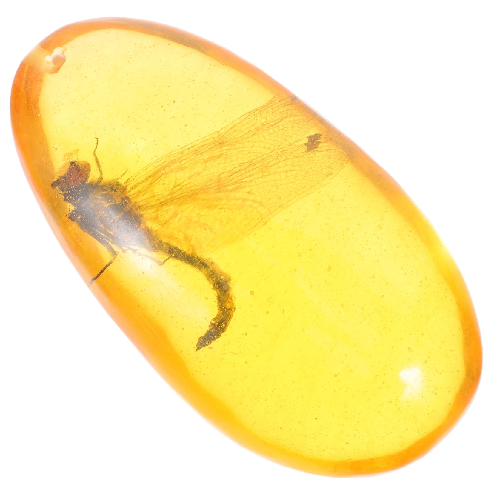 Veemoon Insect Specimen Resin Dragonfly Insect Sample for Home Decor Natural Stone Collectible for Display and Decoration Approximately