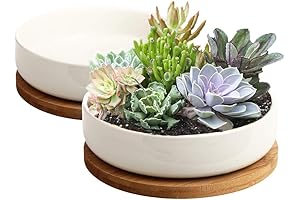 ZOUTOG Succulent Pots: White Ceramic Drainage Planters for Lush Plant Life