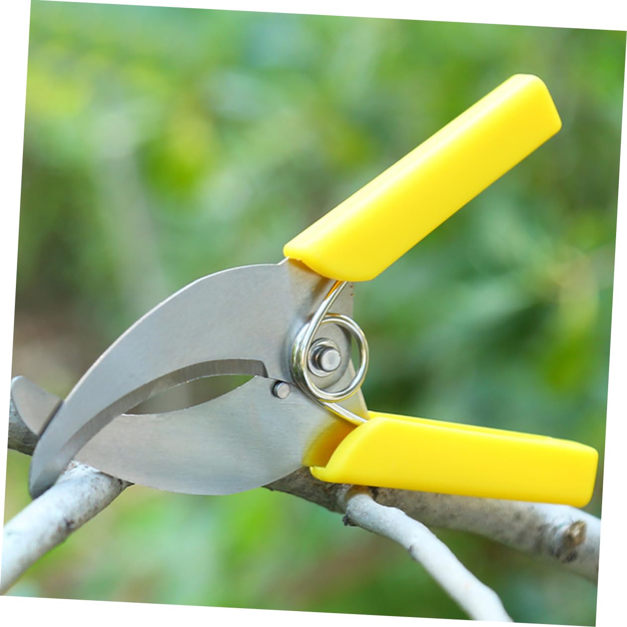 Abaodam 3 Ensembles Cisailles À Ceinturer Outil De Plantation De Fruits Outils À Main Du Jardin Outil De Jardinage À Main Outils À Main Le Jardinage Acier Inoxydable 2 Pièces * 3