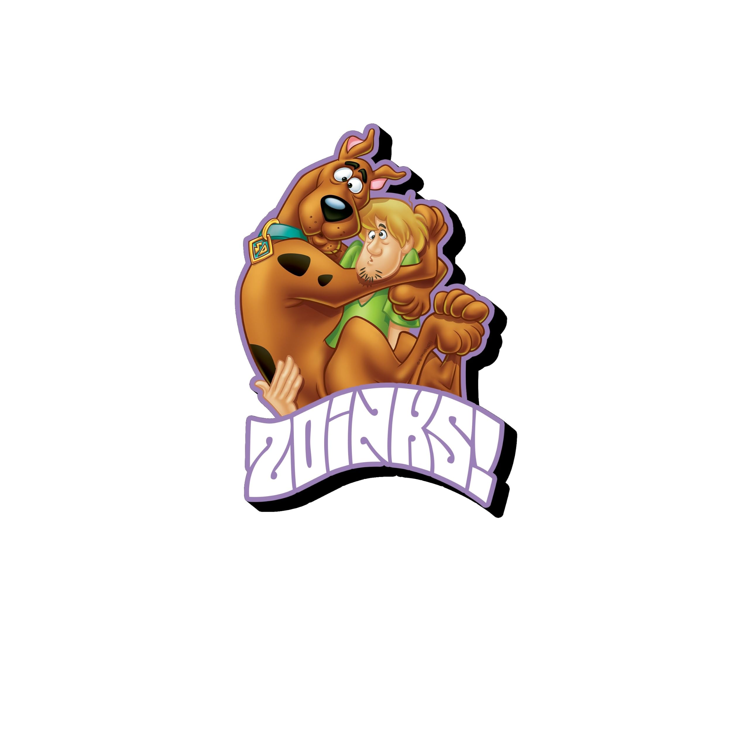 Aquarius Multi Color Scooby Doo Zoinks Funky Chunky Magnet