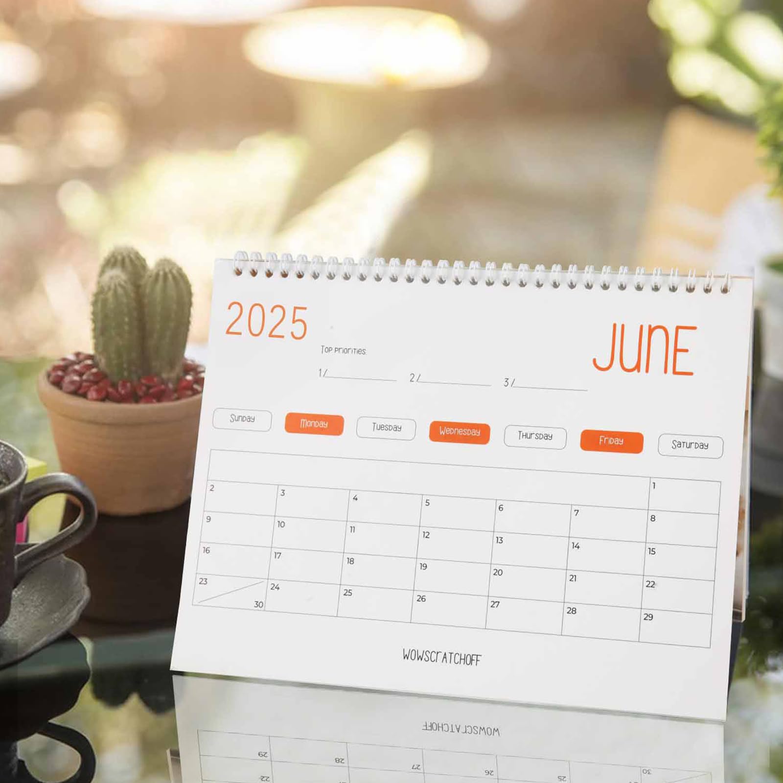 2025 Grappige katten poepen kalender gepersonalise