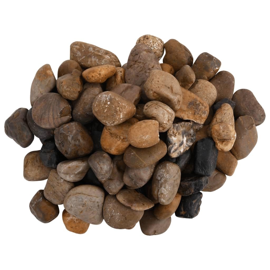 Polierte Kiesel 25 kg Mehrfarbig 2-5 cm für Aquarium Dekoration, Gartengestaltung, Wasserspiele, Aquascaping, Naturstein, dekorative Steine für Süßwasser und Meerwasser Becken