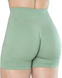 CAMO Collection Workout Shorts for Women Subtle Logo Seamless Scrunch Gym Yoga Running Active Short