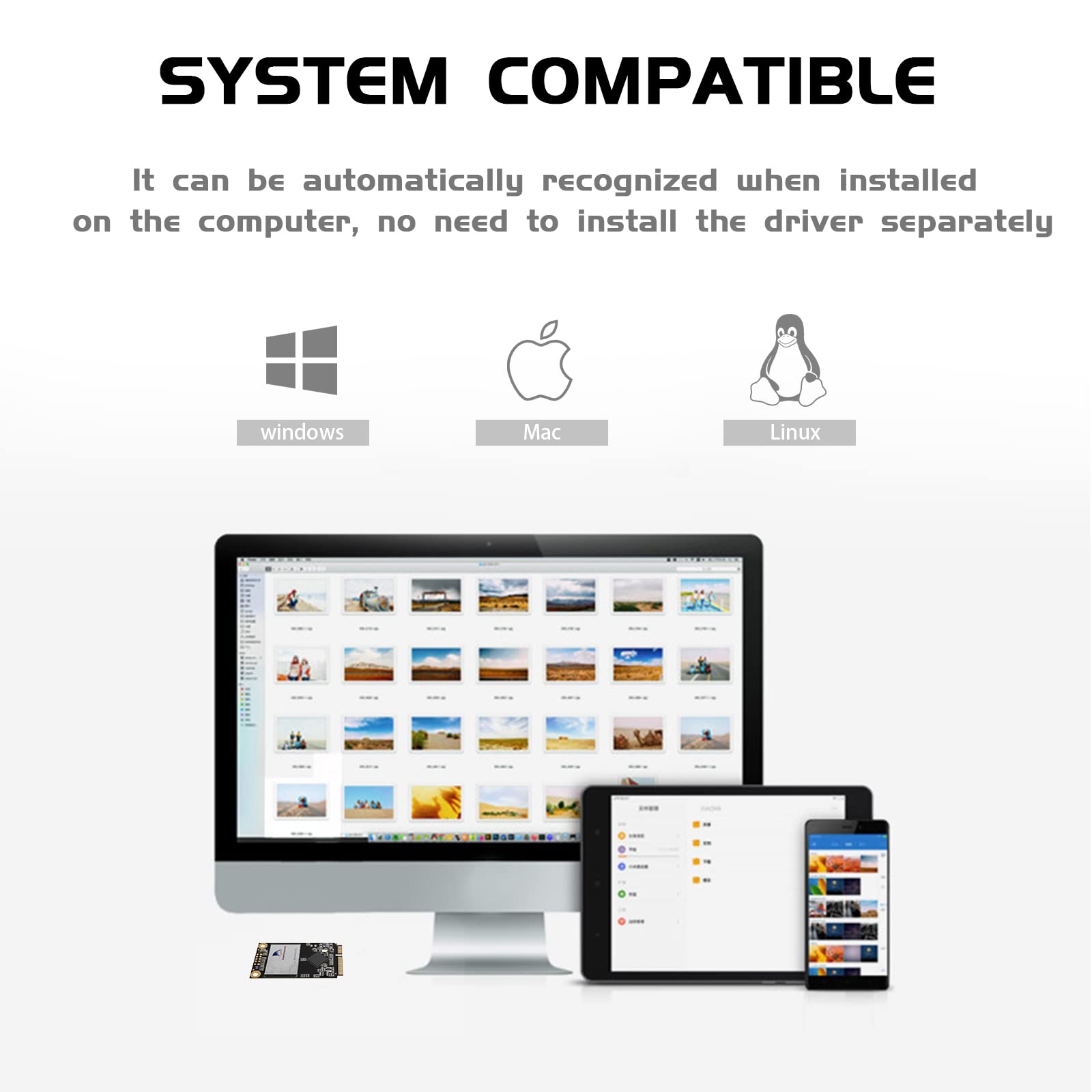 SSD mSATA 2TB SHARKSPEED Plus Mini SATA SSD Drive 3D NAND Solid State Drive per Mini PC Notebook Tablet PC (mSATA 2TB)