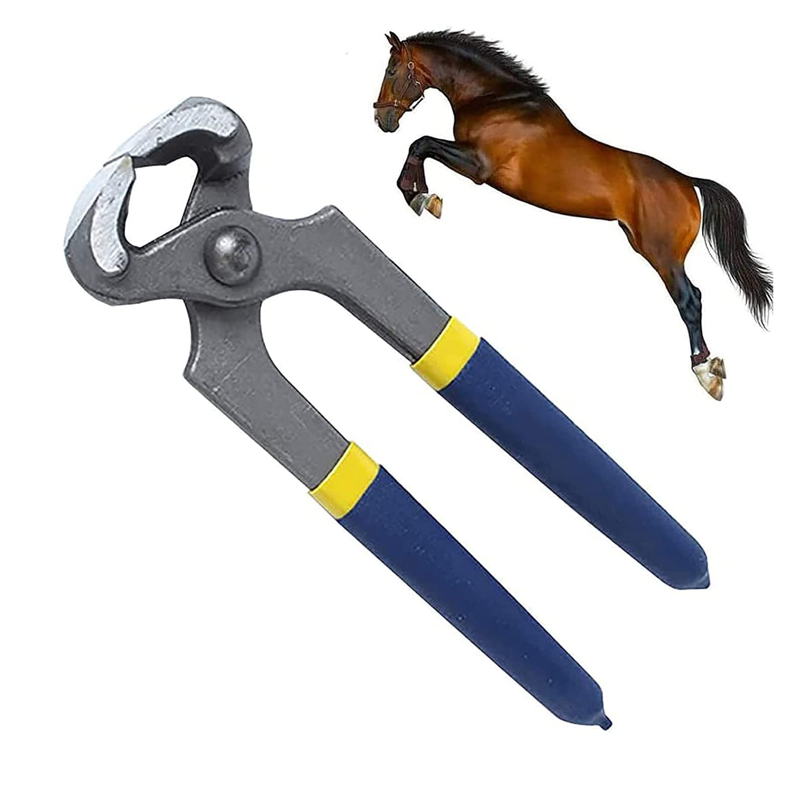 Alicates profesionales para pezuñas de acero de 8 pulgadas para caballos, herramienta de corte de herradores, alicates de limpieza de uñas, ideal para granja, ganado, cerdo y cuidado de caballos