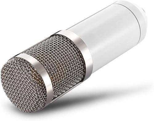Haolv Kondensatormikrofon-Kit Professionelle Kondensatormikrofon-Studio-Broadcasting-Aufnahme White Haolv Kondensatormikrofon-Kit Professionelle Kondensatormikrofon-Studio-Broadcasting-Aufnahme White