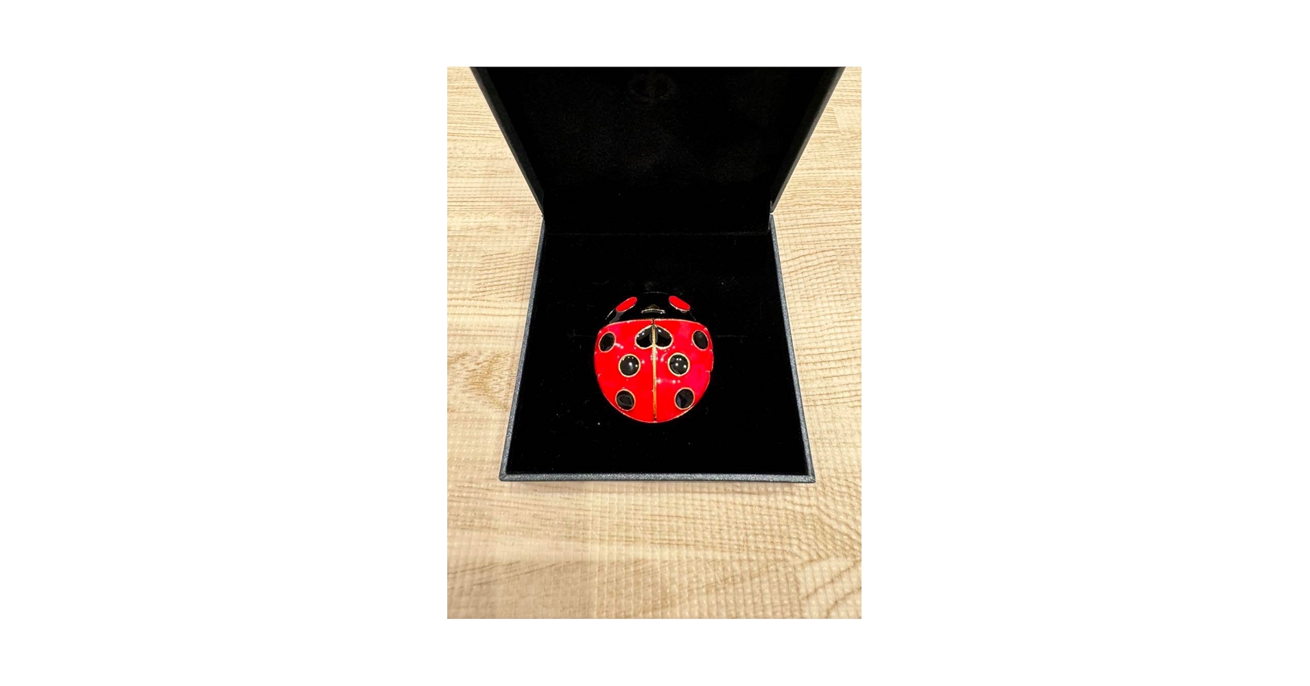 ジョジョの奇妙な冒険 ジョジョ展　冒険の波紋　ジョルノ　ブローチ てんとう虫 Amazon.co.jp: ジョルノ てんとう虫 ブローチ 荒木飛呂彦原画展