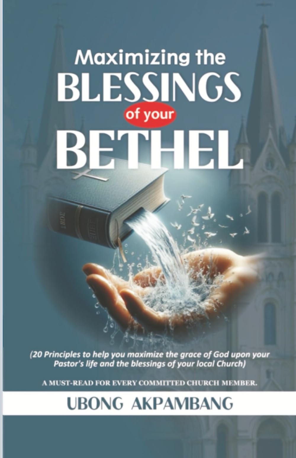 MAXIMIZING THE BLESSINGS OF YOUR BETHEL: 20 Principles to help you maximize the grace of God upon your Pastor's life and the blessings of your local church(A MUST-READ FOR EVERY CHURCH MEMBER)