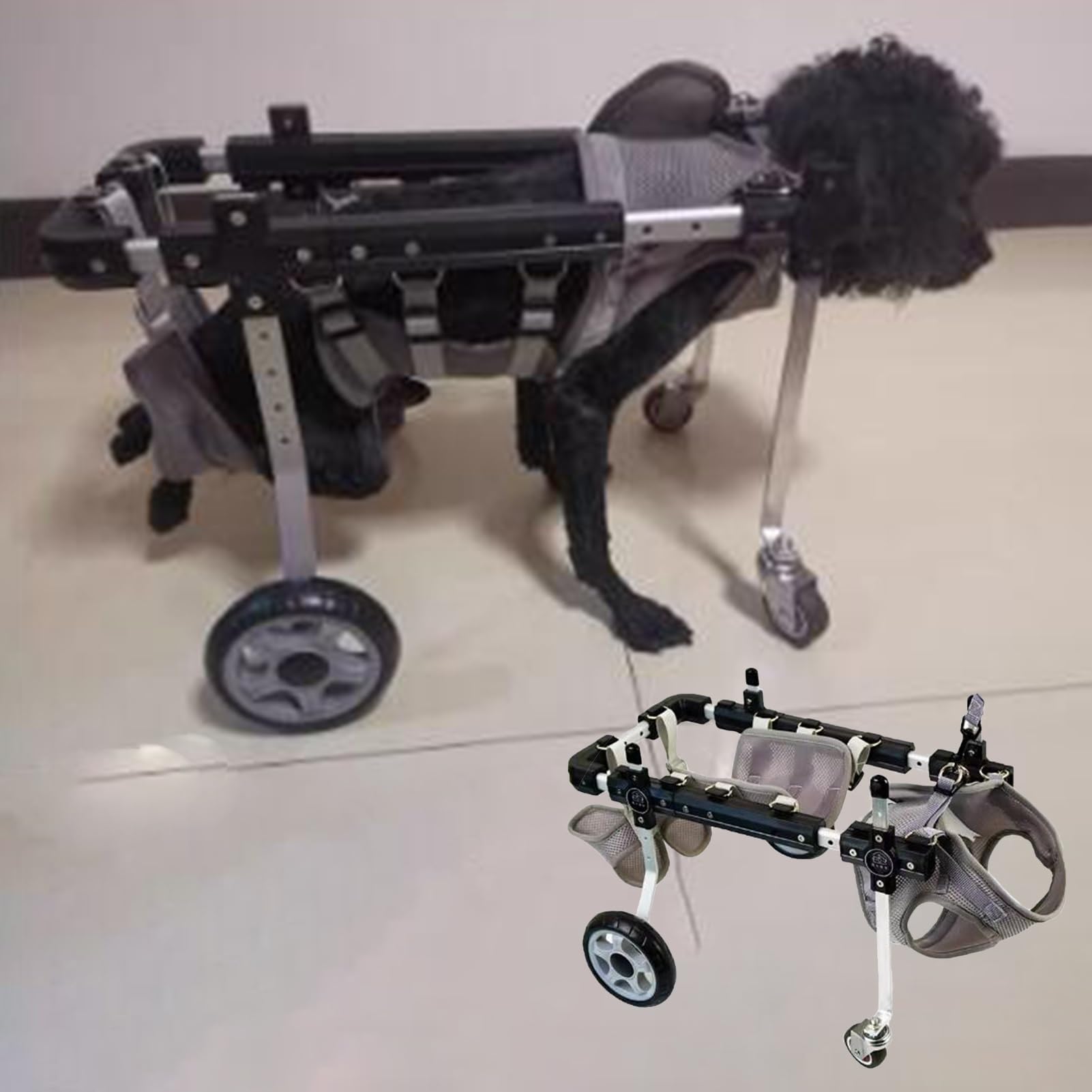 Fauteuil roulant pattes arrières XS : idéal pour les balades de l'animal