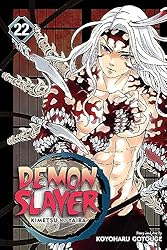 Amazon | Demon Slayer: Kimetsu no Yaiba, Vol. 22: The Wheel