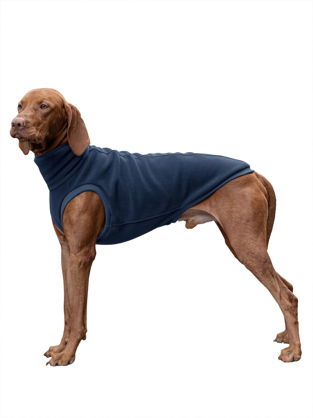 Pull en polaire pour chien pour les balades d'hiver col roulé cosy