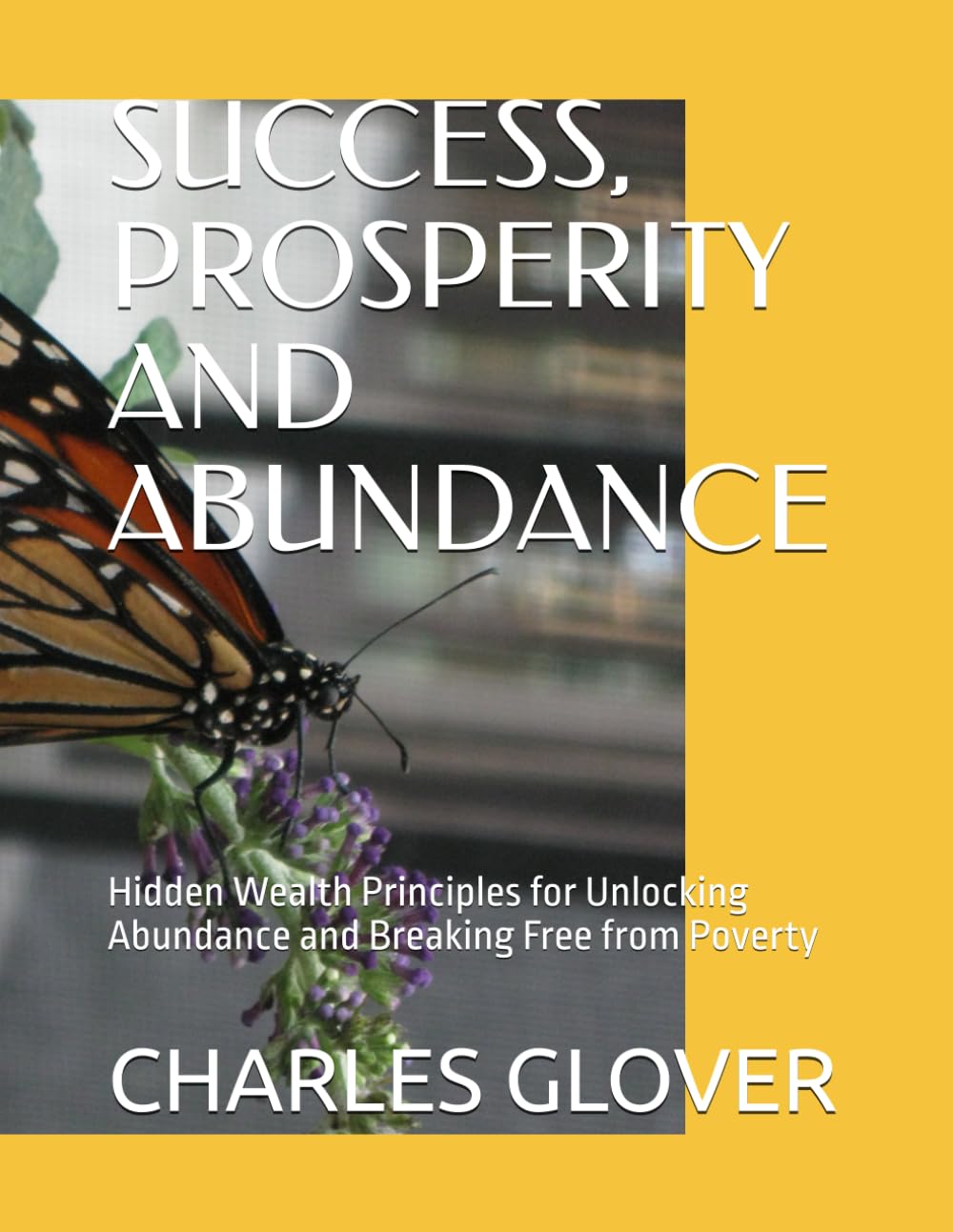SUCCESS, PROSPERITY AND ABUNDANCE: Hidden Wealth Principles for Unlocking Abundance and Breaking Free from Poverty