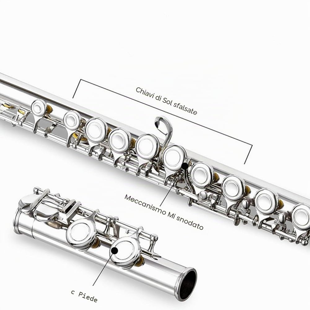 16 fori aperti chiusi C-tonart flauto traverso professionale strumento musicale da concerto, con scatola di pulizia