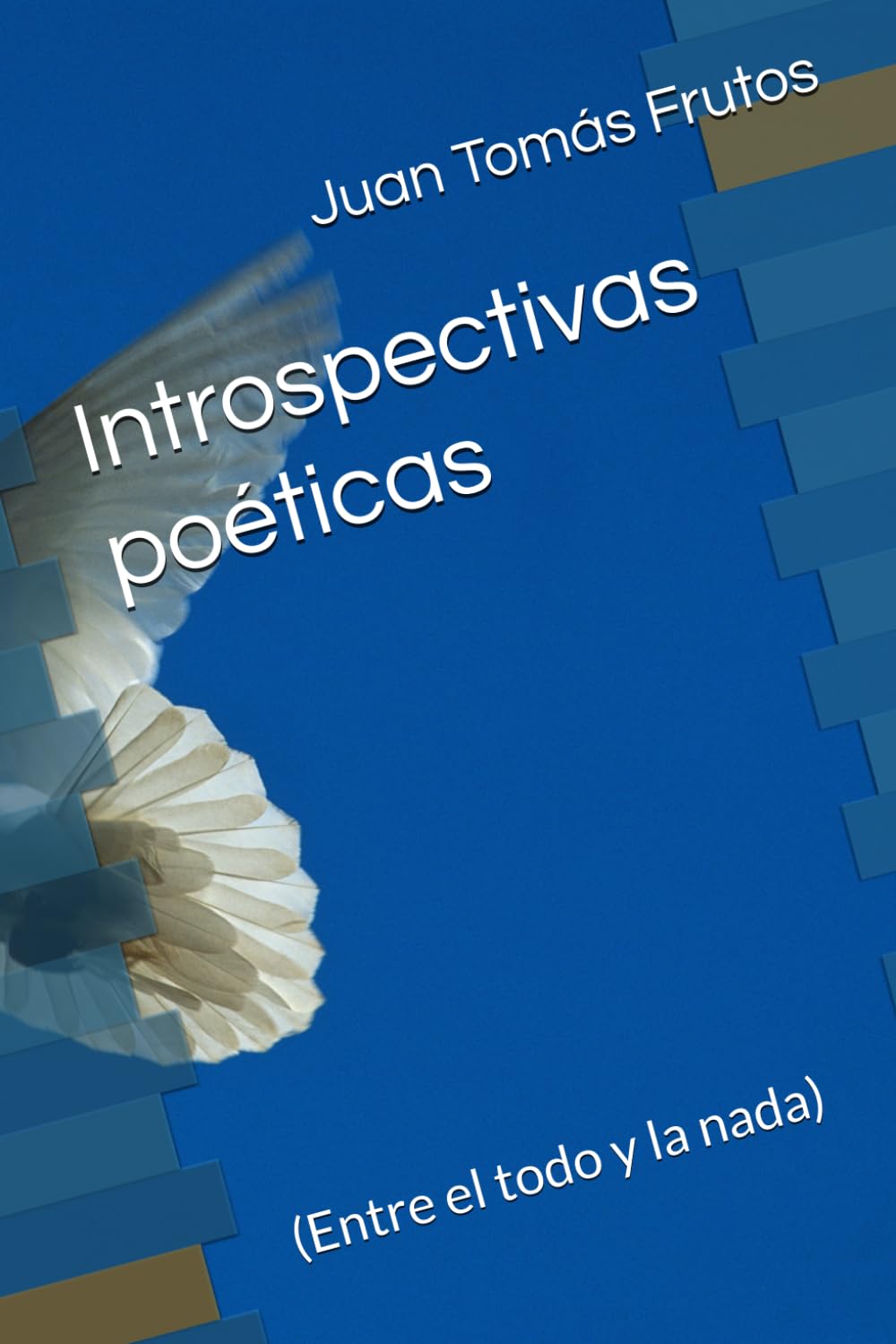 Introspectivas poéticas: (Entre el todo y la nada)
