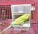 Hypeety Alimentador automático para pájaros sin ensuciar mascotas alimentador de semillas contenedor...
